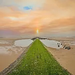 In Near The